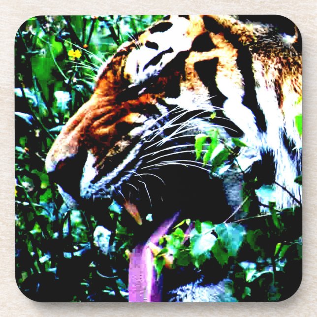Amur Tiger coastercnm Coaster (Front)