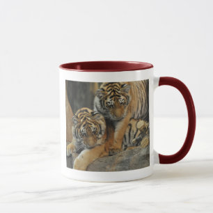 Amur Tiger Cub Mug