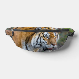Amur tiger fanny pack