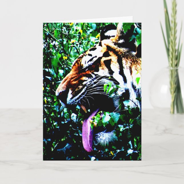 Amur Tiger gccna Card (Front)