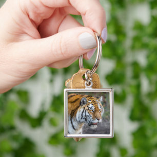 Amur tiger keychain