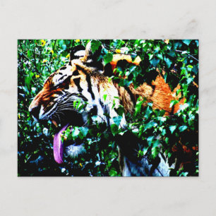 Amur Tiger pc arc4 Postcard