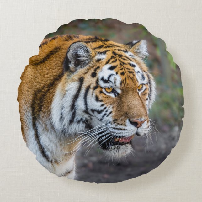 Amur tiger round pillow (Front)