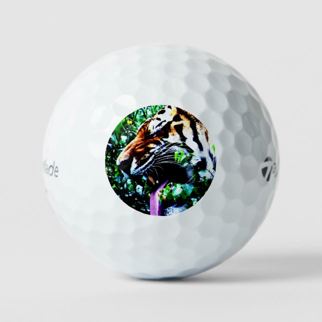 Amur Tiger tmtp5 gbcnm Golf Balls (Front)