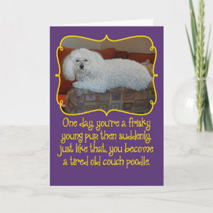 Amusant Ancien Canapé Poodle Carte d'Anniversaire
