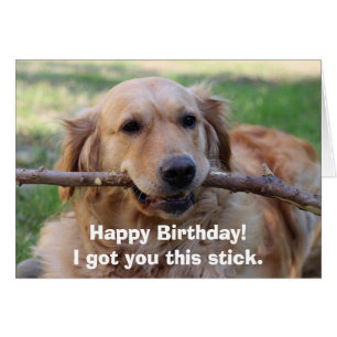 Amusant Golden Retriever Chien Humor Joyeux annive