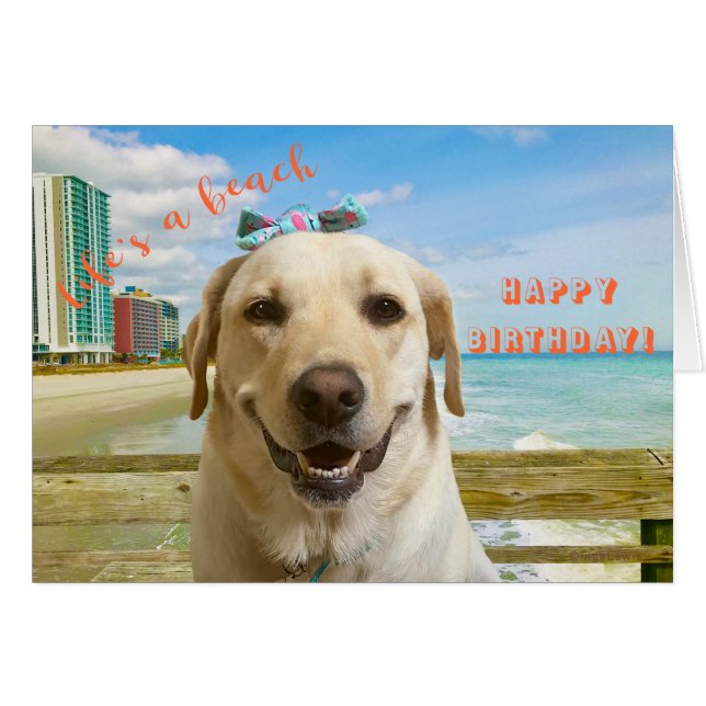 Amusant Joyeux anniversaire Labrador Dog à la plag (Devant horizontal)