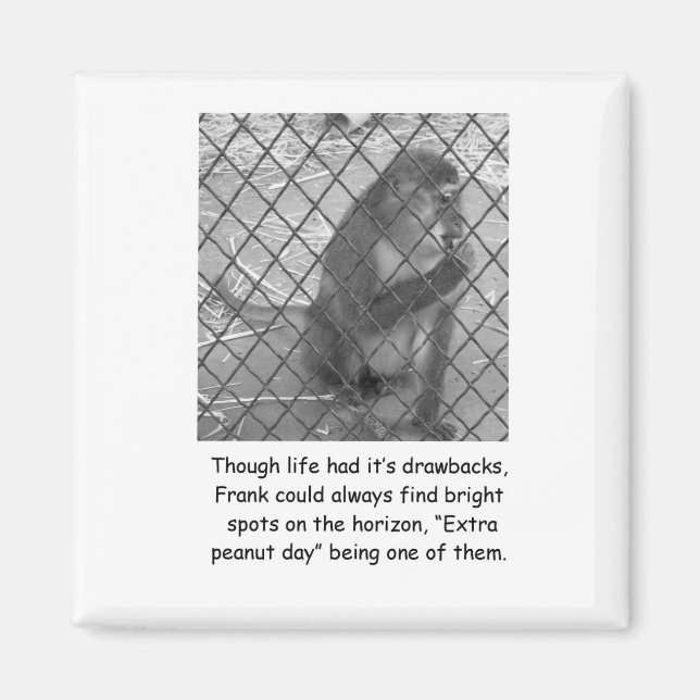 Amusant Magnet d'encouragement de singe (Devant)