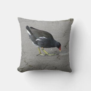 Amusant Moorhen prendre un Coussin de bow