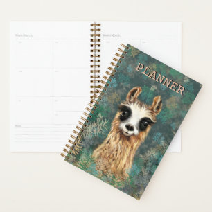 Amusant planificateur avec Llama curieuse