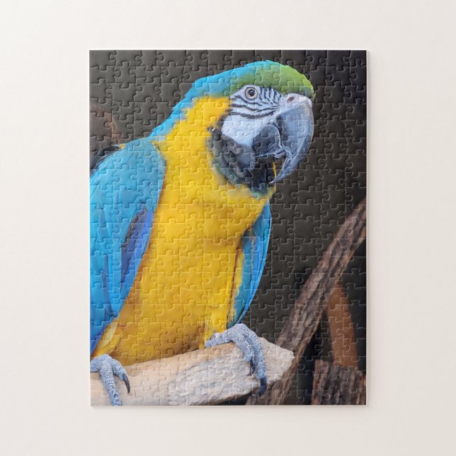 Amusant ! Puzzle - Macaw bleu et jaune (Vertical)