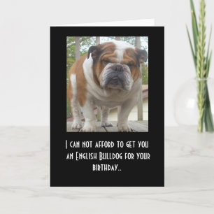 Amusante carte d'anniversaire de Bulldog anglais