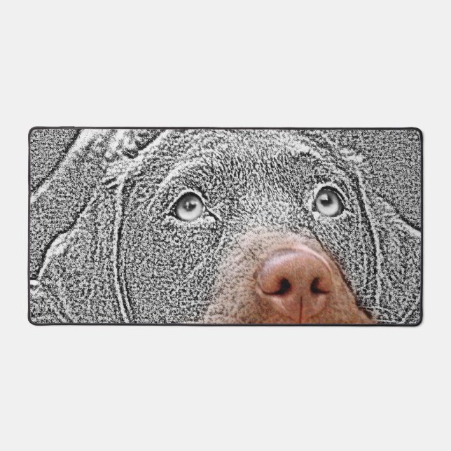 Amusants Couleur sélective Chien Photo Bureau Mat (Recto)