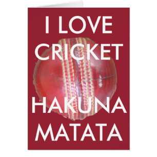 Amusants Cricket Ball Design