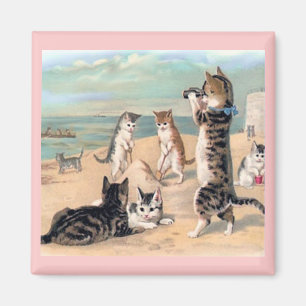 Amusement de chats sur la plage Magnet