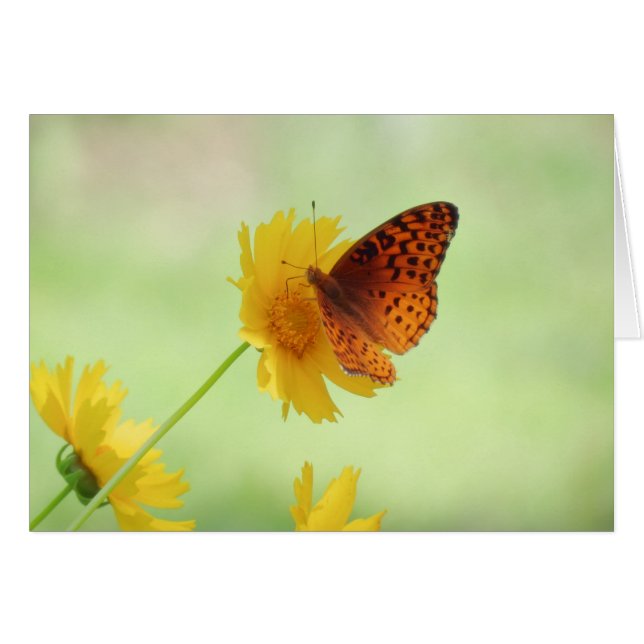 Amusement Fritillaire - Papillon (Devant horizontal)