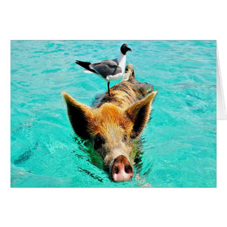 Amusez ensemble cay staniel nager cochon seagull f