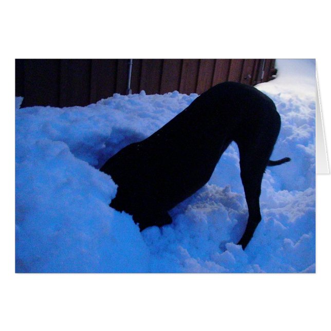 Amusez-vous dans la neige (Devant horizontal)