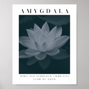 AMYGDALA - LOTUS FLOWER, Gray Palette, Vintage Poster