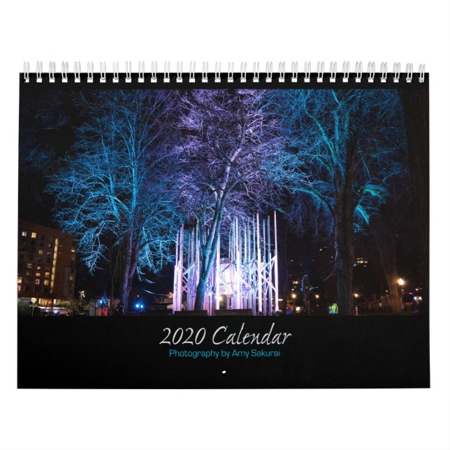 Amy's 2020 Photo Calendar (Cover)