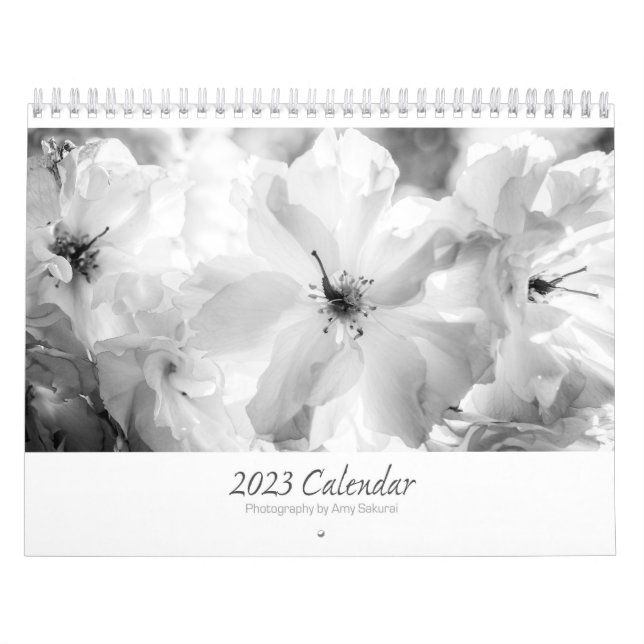Amy's 2023 Monochrome Calendar (Cover)