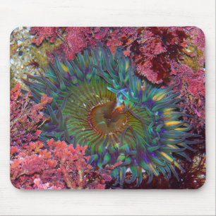 Amzing Green Anemone Mouse Pad