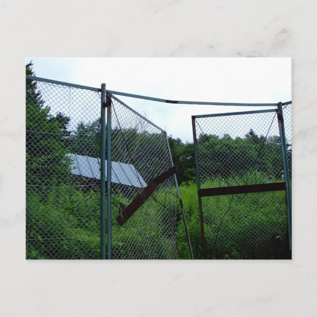 An abandoned house beyond the broken fence. postcard (Front)