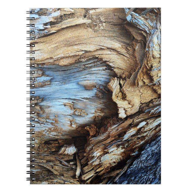 An abstract texture in light brown and blue tree b notebook (Front)