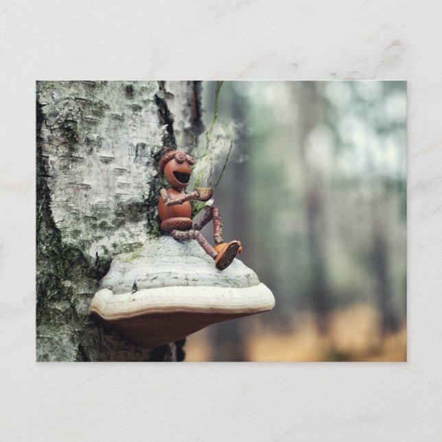 An acorn elf is drinking coffee postcard (Front)