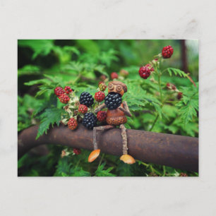 An acorn elf is eating blackberries postcard