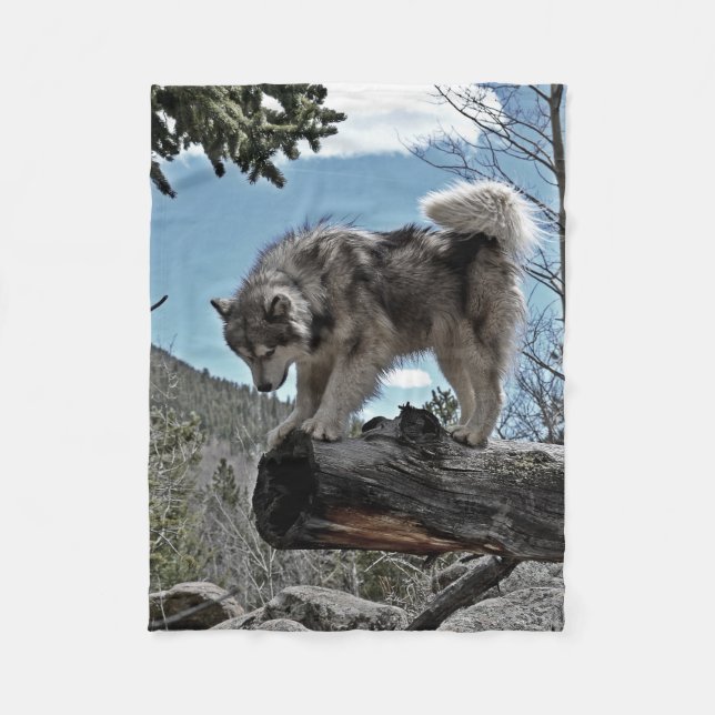 An Alaskan Malamute that goes by the name, Uzi Fleece Blanket (Front)