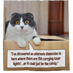 An alternate dimension