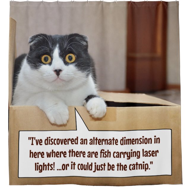 An alternate dimension (Front)