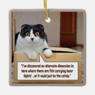 An alternate dimension ceramic ornament