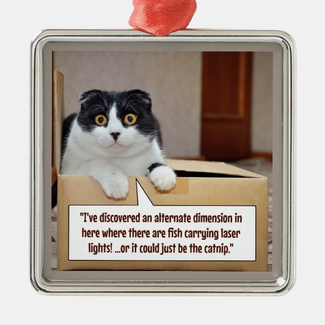 An alternate dimension metal ornament (Front)