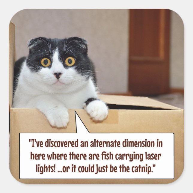 An alternate dimension square sticker (Front)