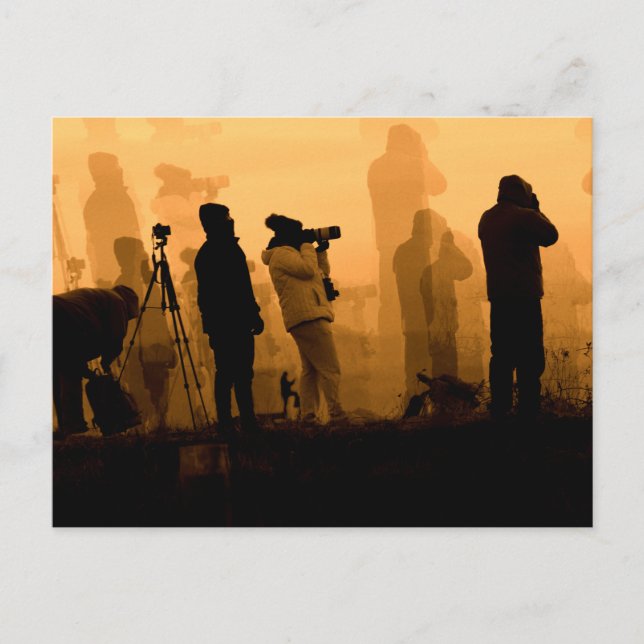 An Amazing Sunset - Photographing Geese at Sunset Postcard (Front)