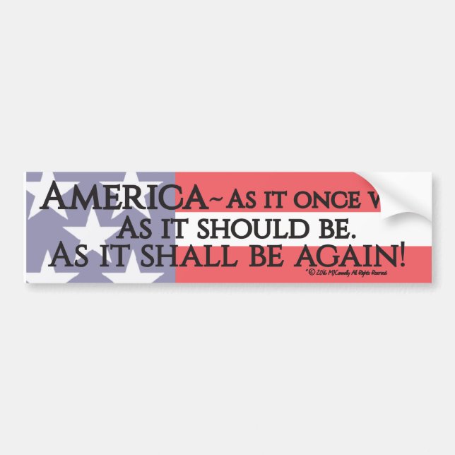 "An American Toast" bumper sticker. Sticker (Front)