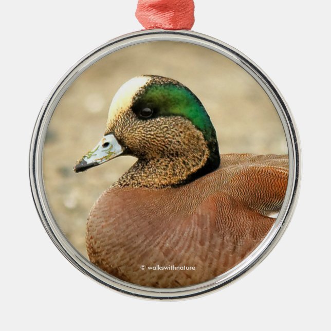 An American Wigeon on the Beach Metal Ornament (Front)