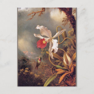 An Amethyst Hummingbird with a White Orchid Postcard