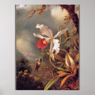 An Amethyst Hummingbird with White Orchid Poster