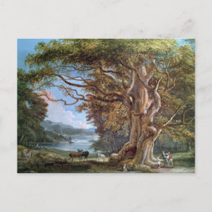 An Ancient Beech Tree, 1794 (oil on canvas) Postcard