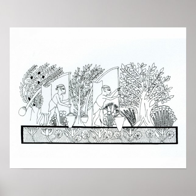 An ancient Egyptian garden (engraving) (b/w photo) Poster (Front)
