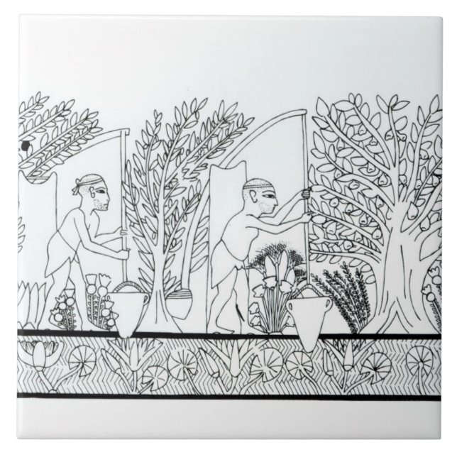 An ancient Egyptian garden (engraving) (b/w photo) Tile (Front)