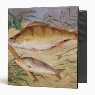 An Angler's Catch of Coarse Fish (oil on panel) Binder