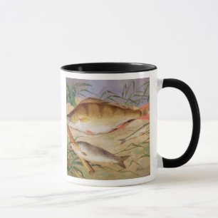 An Angler's Catch of Coarse Fish (oil on panel) Mug