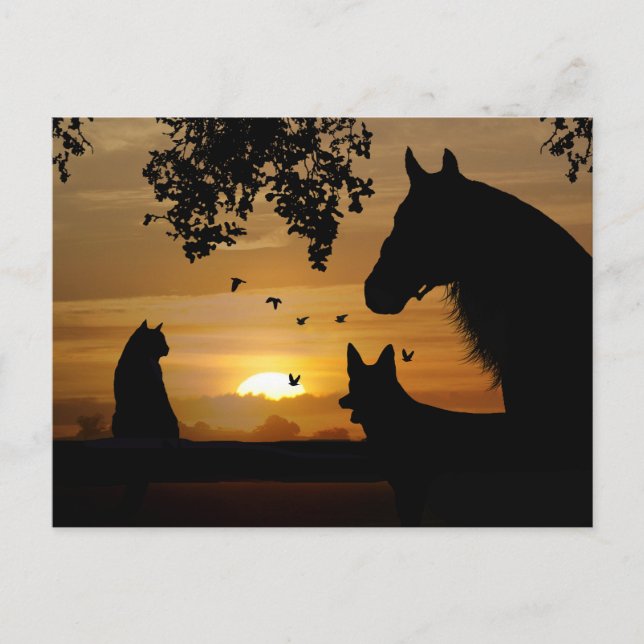 An Animal Lover's Delightful Postcard (Front)