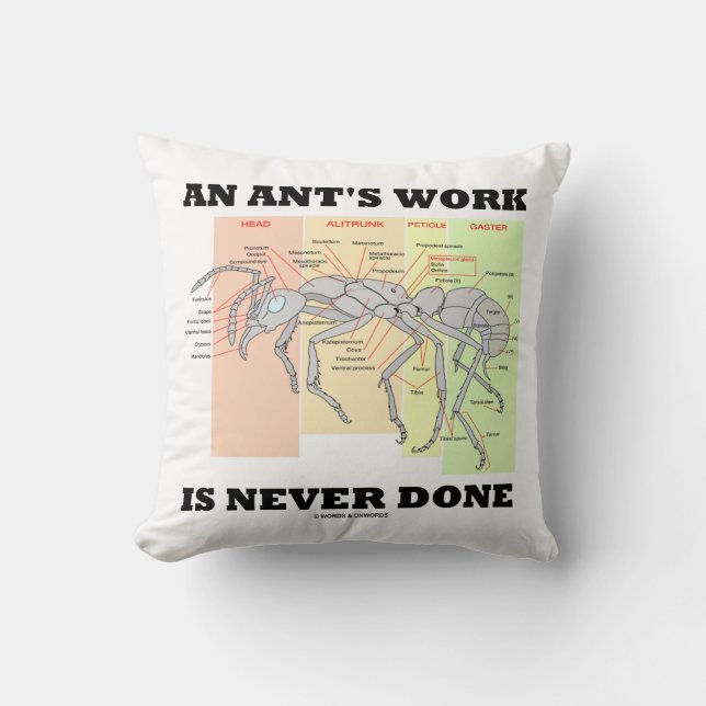 An Ant's Work Is Never Done (Worker Ant Anatomy) Throw Pillow (Front)