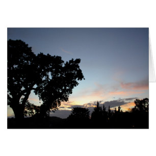 An April Sunset behind a Local Oak Tree