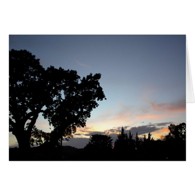 An April Sunset behind a Local Oak Tree (Front Horizontal)